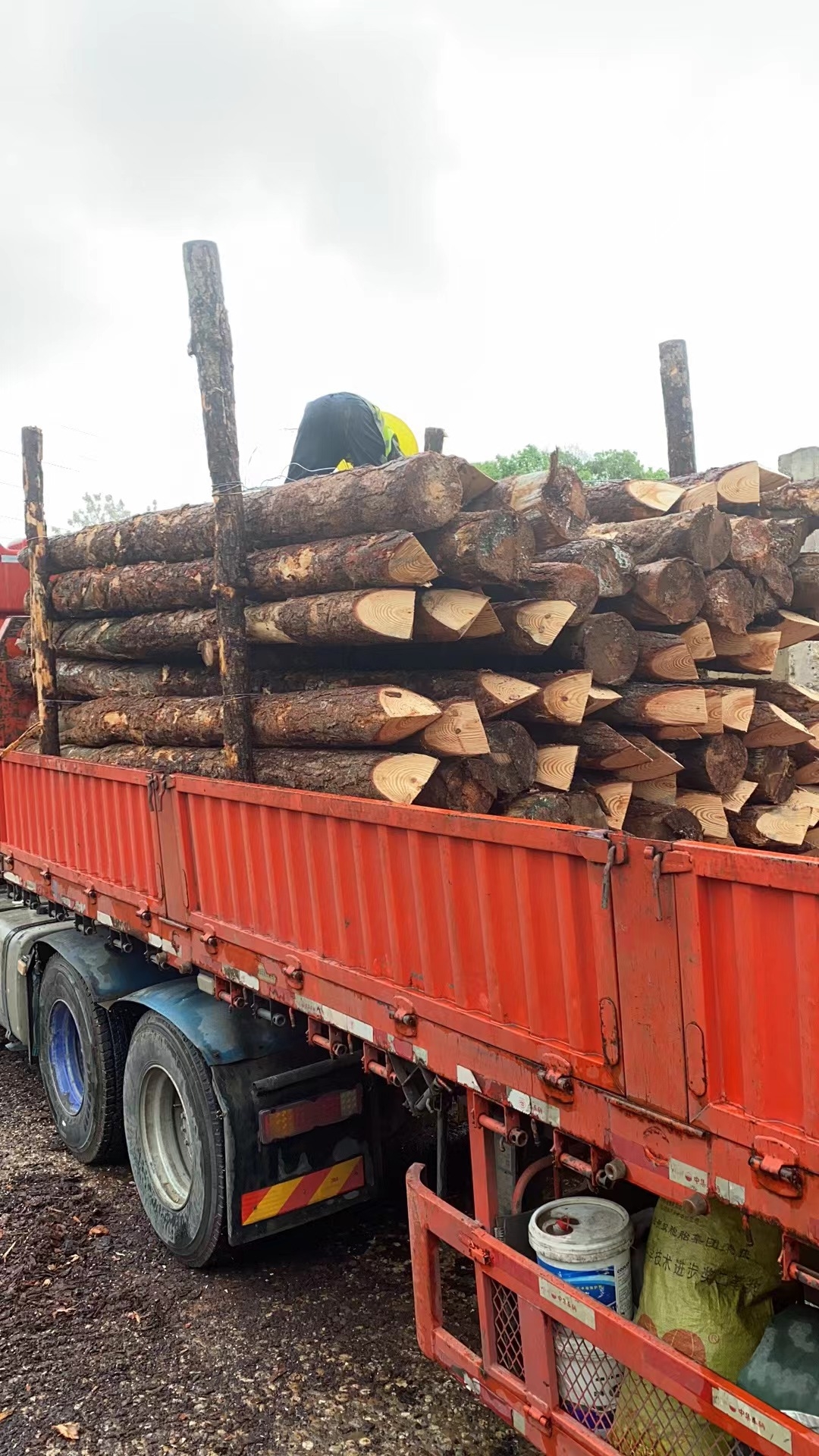 松木樁新手必備！快速掌握規(guī)范和要求