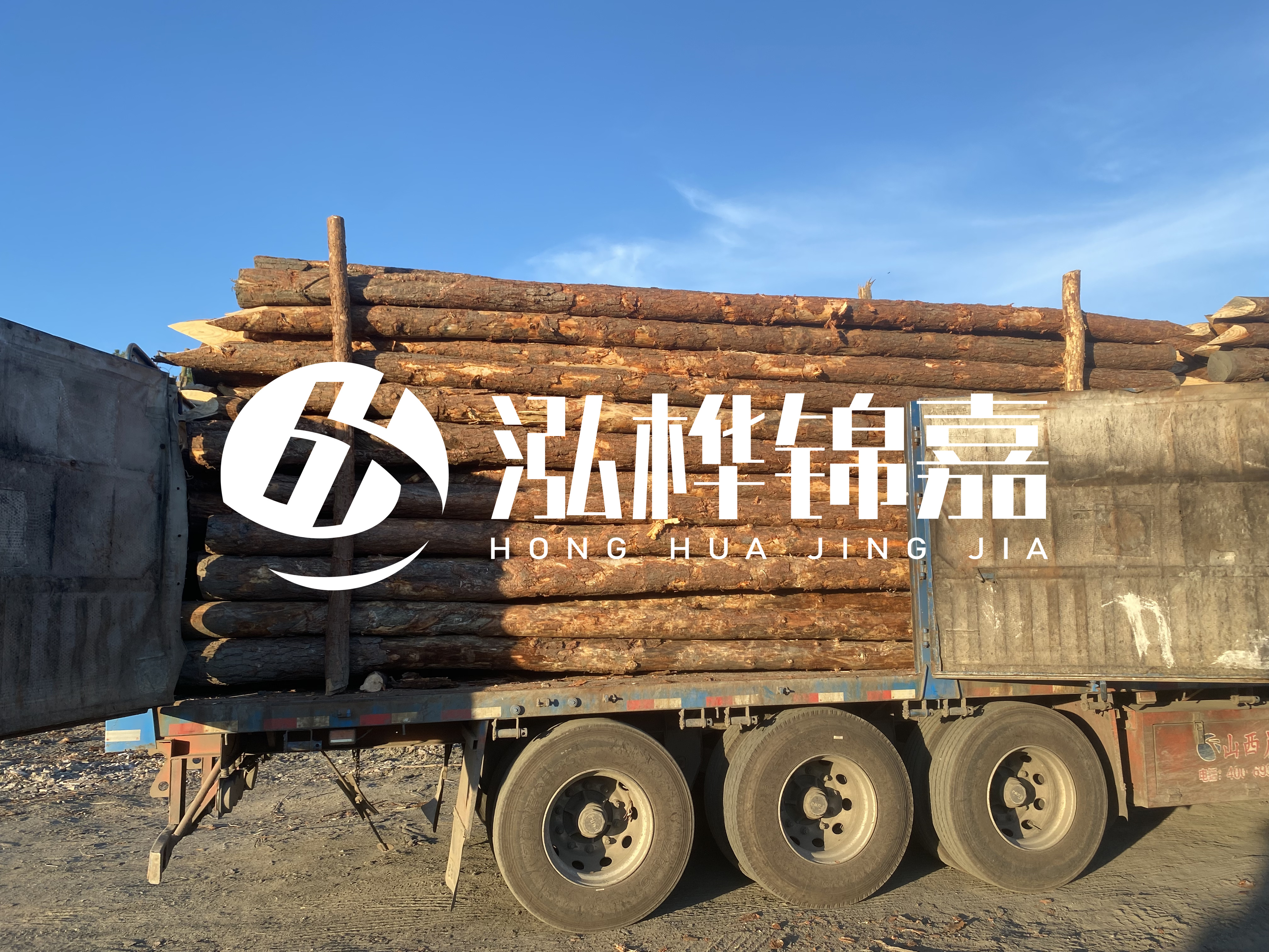 河道治理為什么要用松木樁？