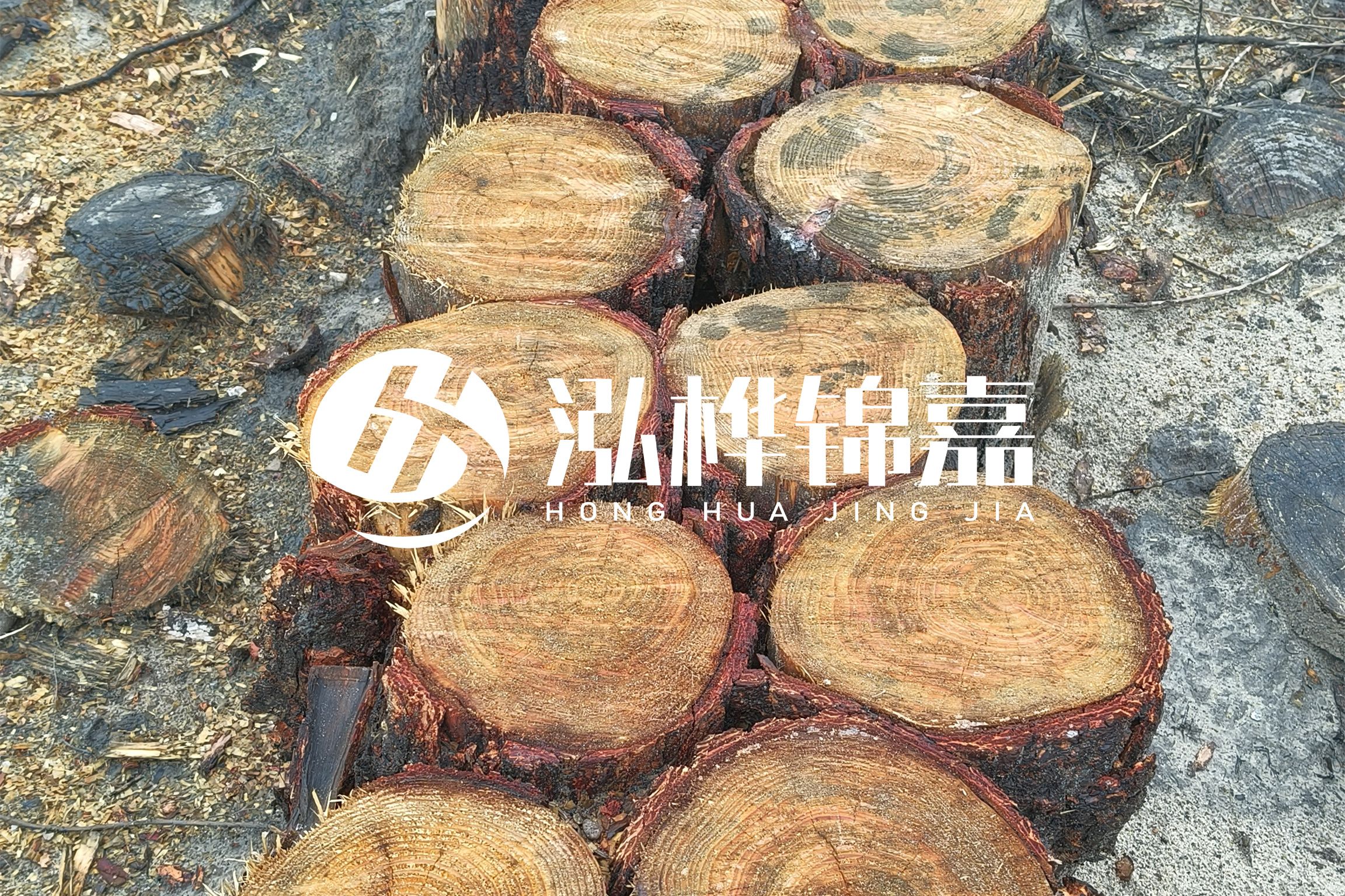 浙江臺(tái)州有清淤的公司嗎？浙江臺(tái)州有清淤施工隊(duì)嗎？