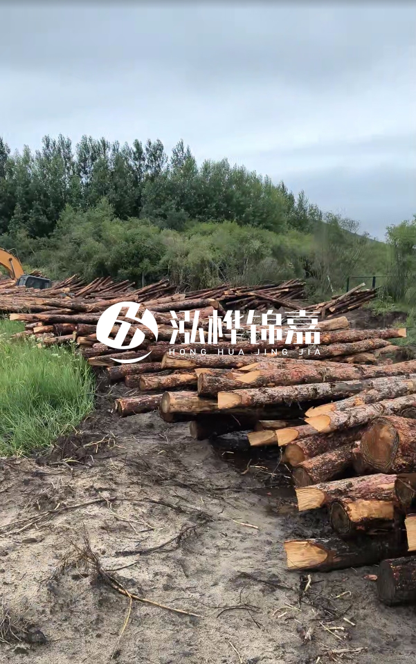 甘肅河道清淤工程公司-為什么要進行河道清淤？