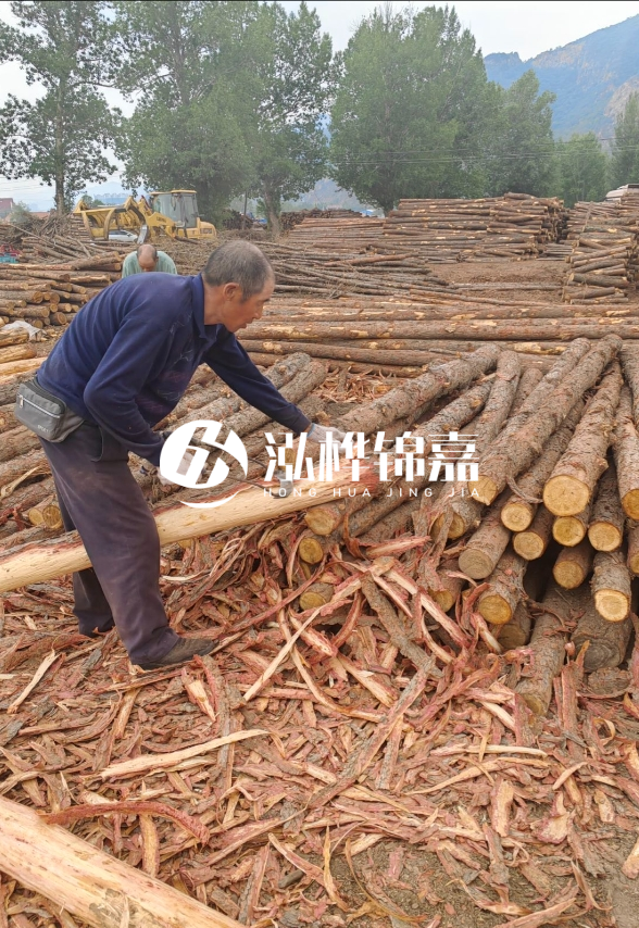 東營河道清淤專業(yè)施工隊(duì)-不同型號(hào)挖機(jī)清淤能力對(duì)比？