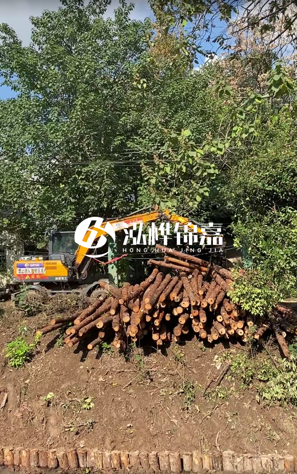 隨州松木樁源頭廠家-杉木樁打樁木的價格比松木樁貴嗎？