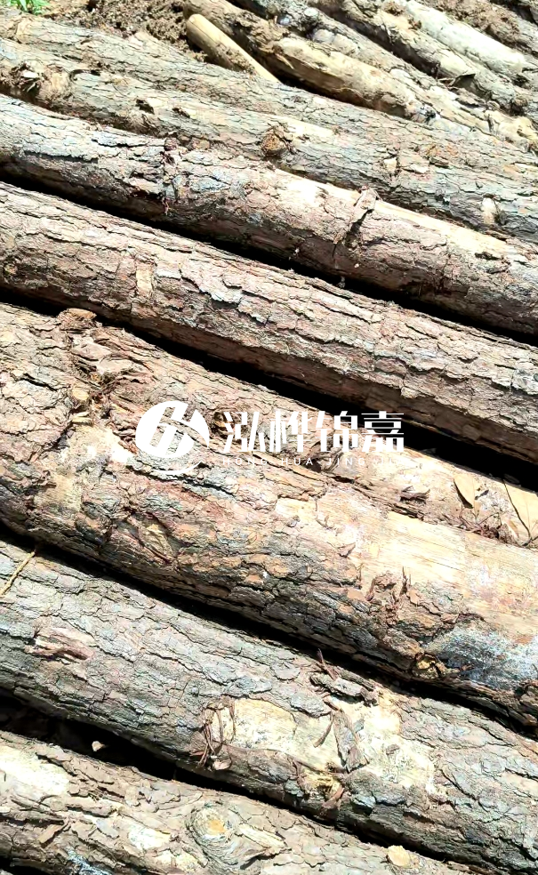 佛山松木樁源頭廠家-松木樁和杉木樁在河道治理中哪個(gè)更耐用？