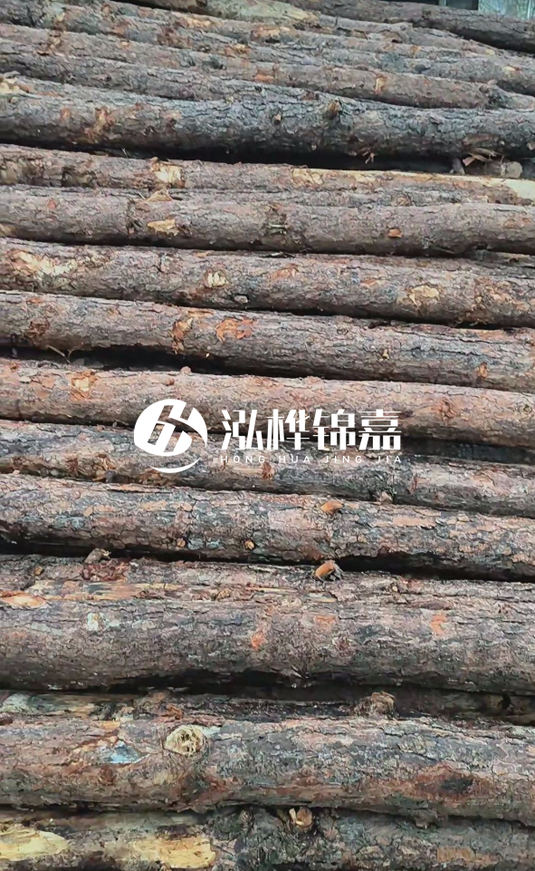 陽江松木樁源頭廠家-哪一種打樁木最便宜？