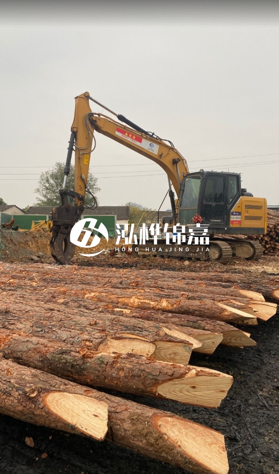 北海松木樁源頭廠家-松木樁價(jià)格4米多少一根？