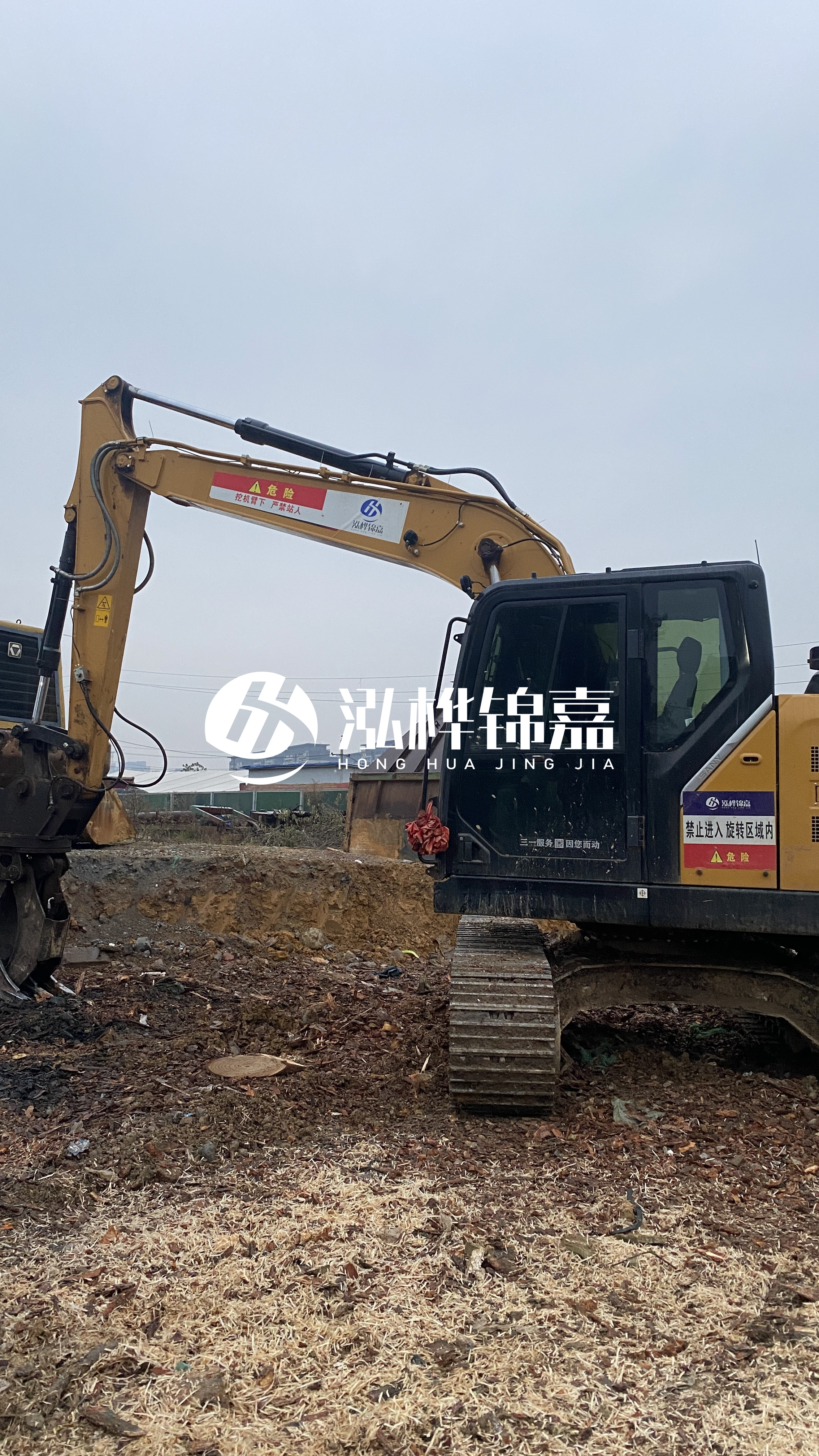 河池松木樁源頭廠家-河道木材松木樁怎么選？