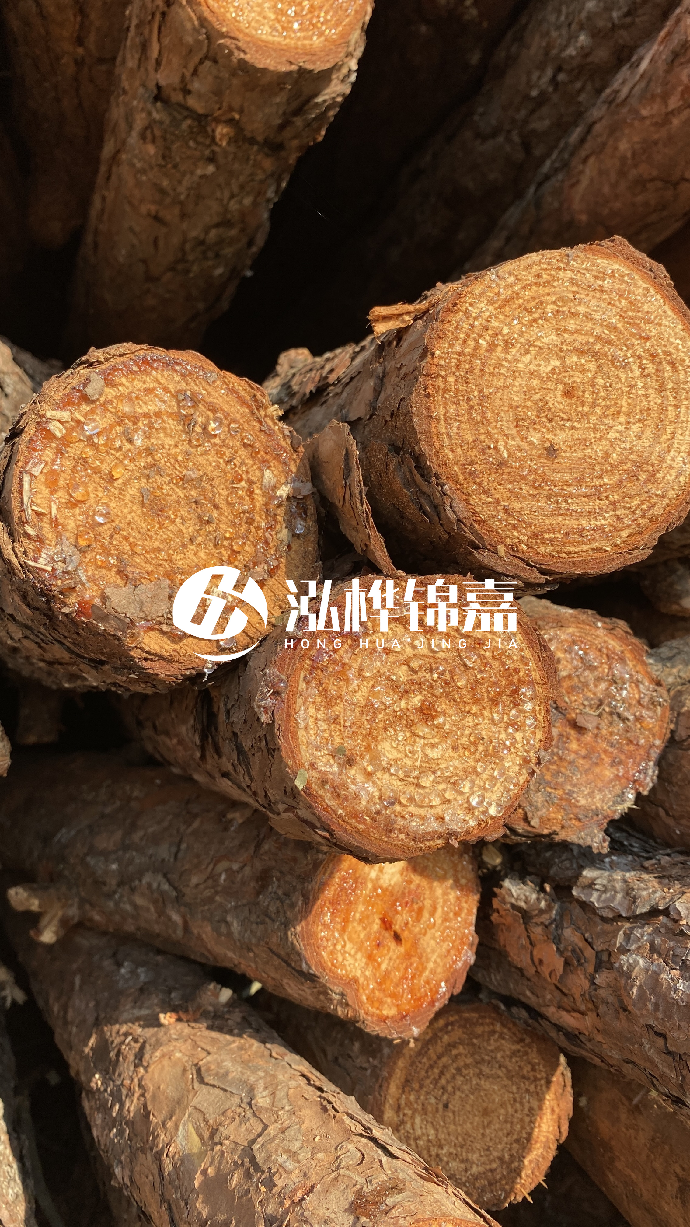 南充松木樁源頭廠家-木樁護坡優(yōu)缺點有哪些？