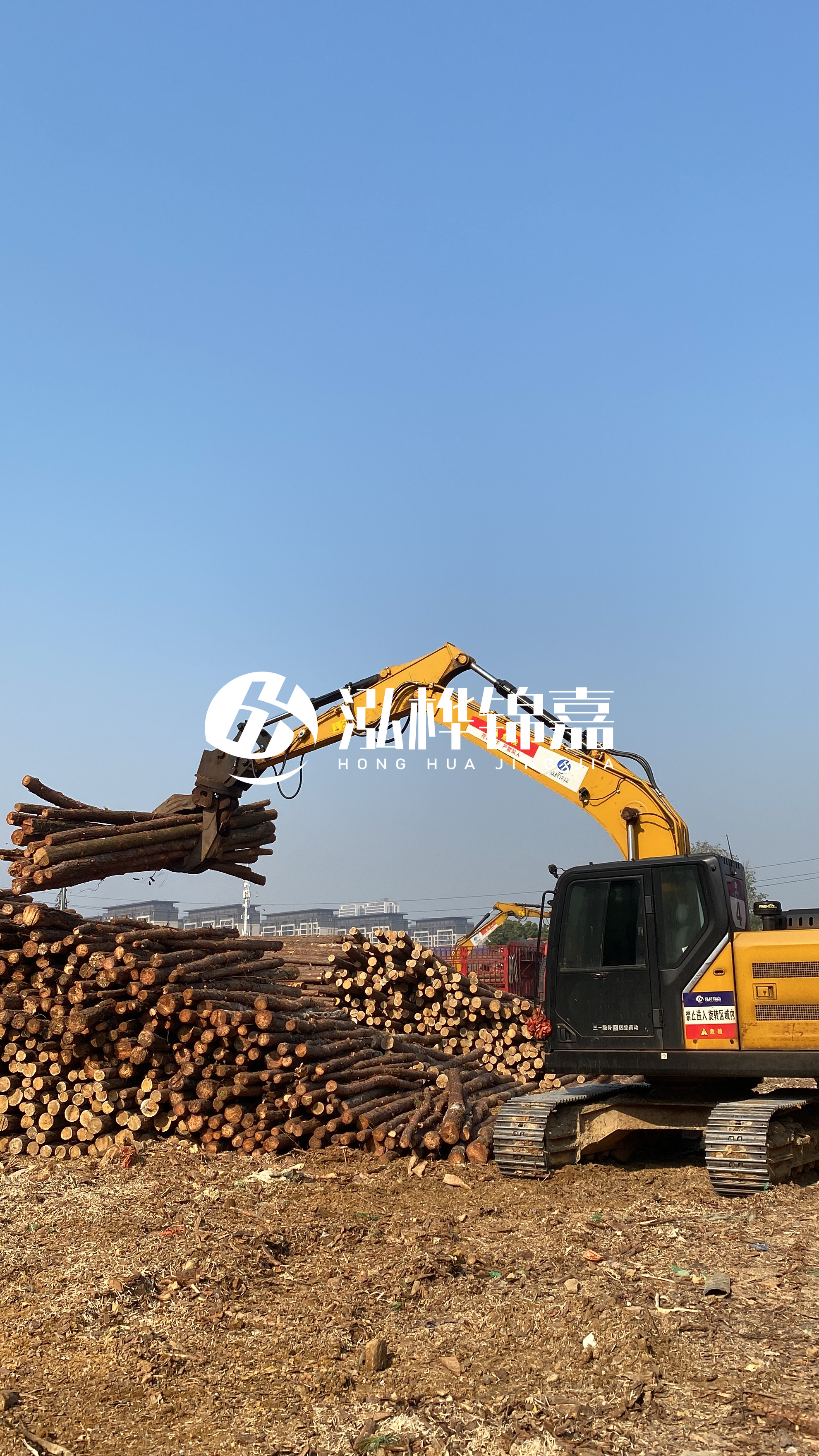 嘉峪關(guān)松木樁批發(fā)源頭廠家-6米杉木樁價(jià)格多少？