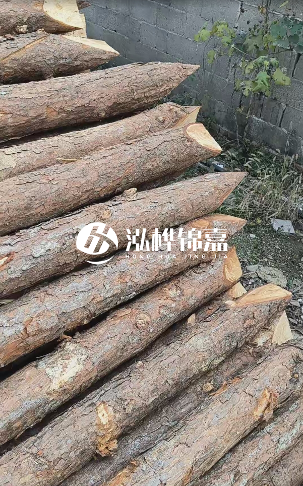 松木樁哪里能大量供應(yīng)？4米20公分松木樁價(jià)格是多少？