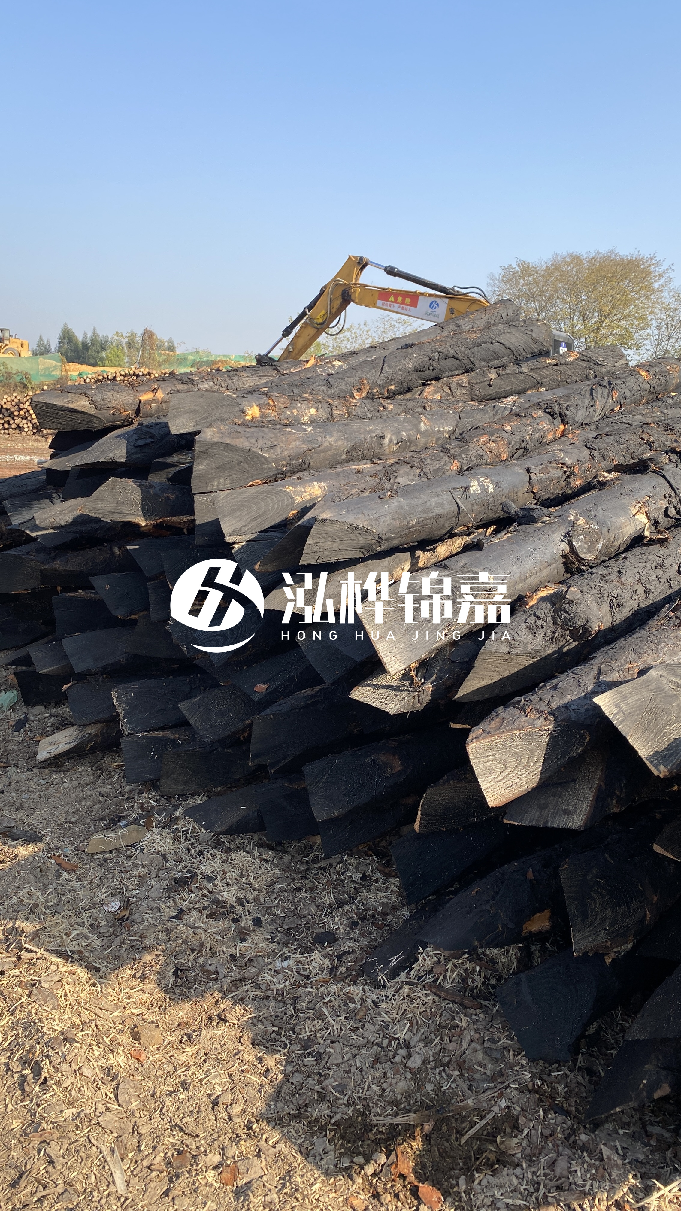 如何辨別優(yōu)質(zhì)的松木樁廠家？助你避開雷區(qū)！