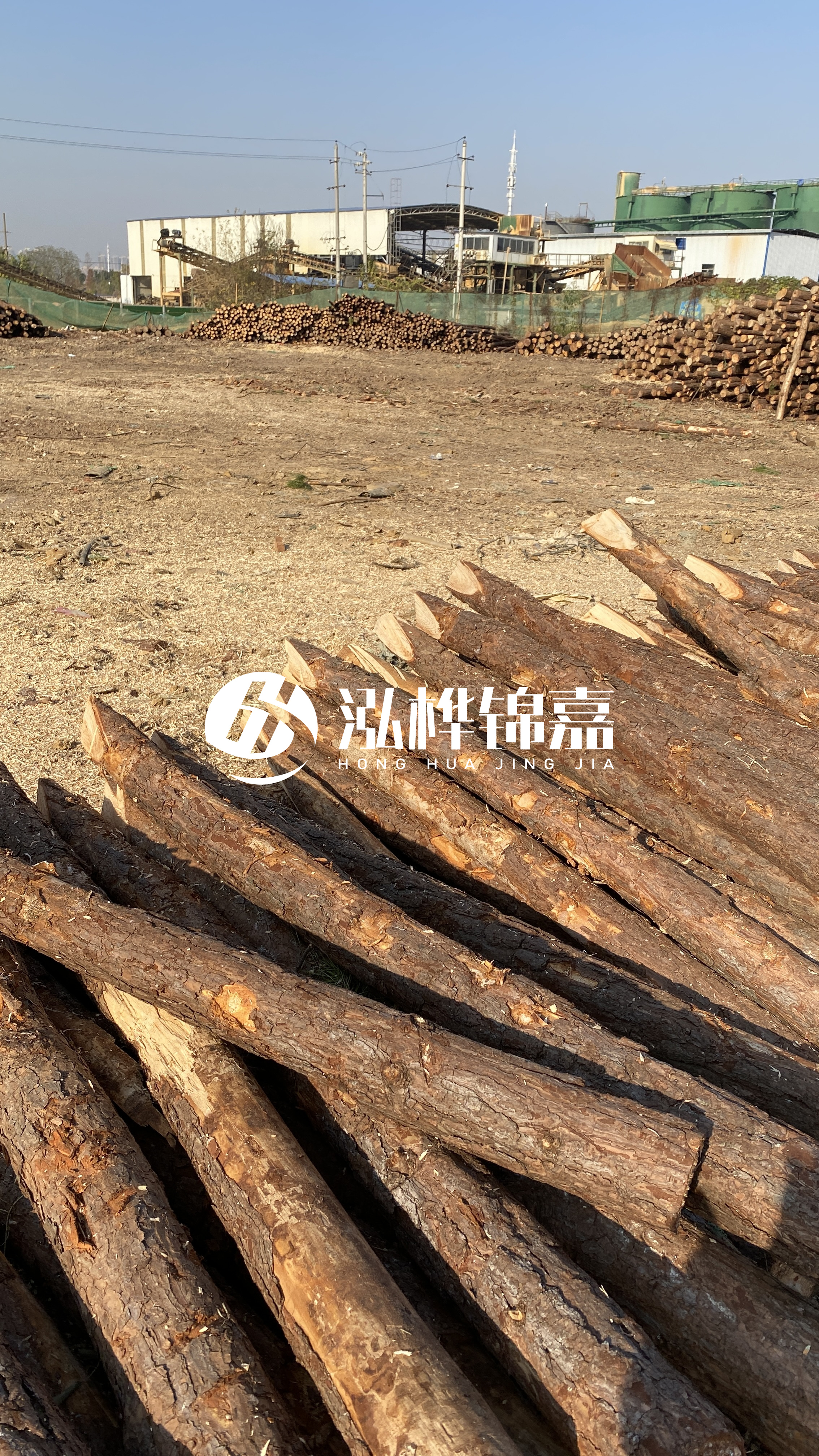 松木樁施工要找有資質(zhì)的嗎？松木樁施工背后門道多，看完就懂了！