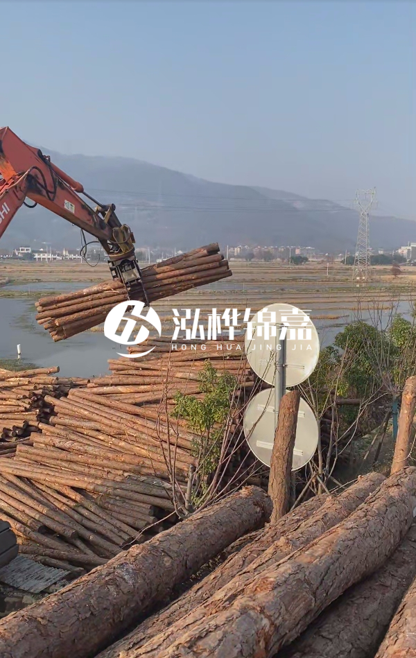 松木樁是否需要削皮呢？松木樁為什么不會(huì)爛掉呢？