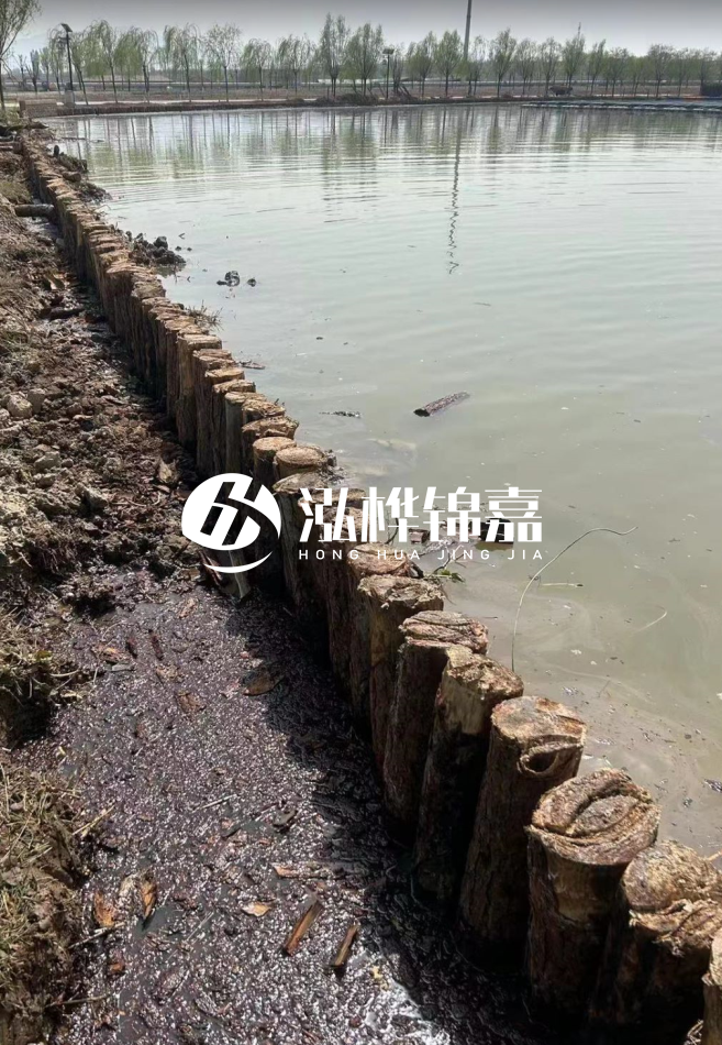 長(zhǎng)沙松木樁批發(fā)市場(chǎng)在哪？廠家地址是多少？