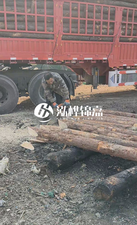 2米松木樁多少錢一根？15-20CM直徑價格是多少？