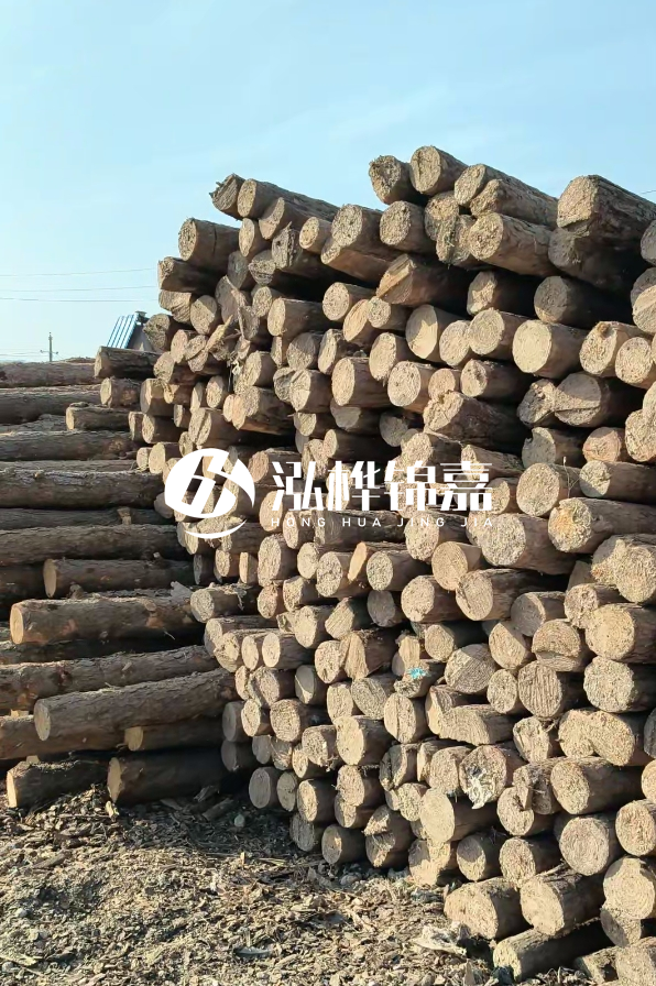 國內(nèi)哪里的松木樁便宜又好？五大高性價比產(chǎn)地推薦
