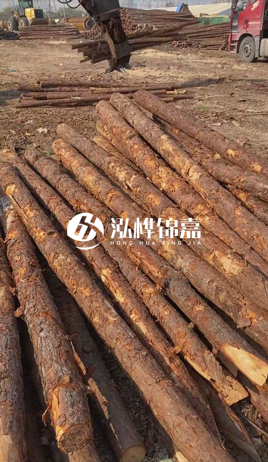 4.5米松木樁直徑14一根多少錢？5米14厘米多少錢？