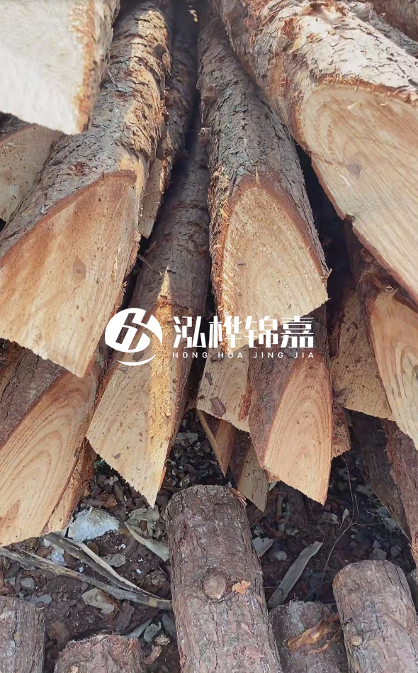 3米杉木樁梢頭12大頭多少？賣多少錢一根？