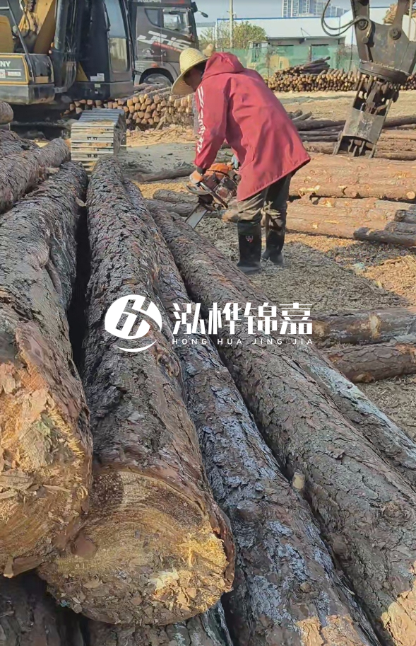 長沙打樁木批發(fā)廠家在哪里？聯(lián)系方式是什么？