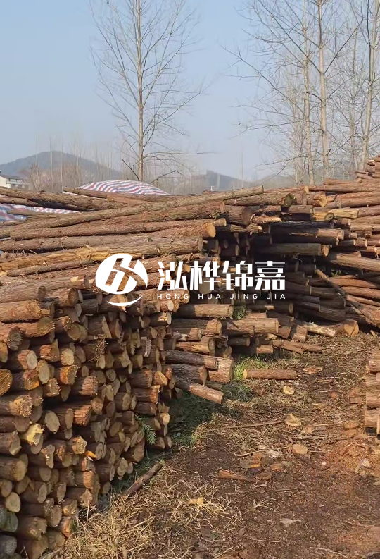 貴州打樁木材價格多少-打樁木材價格多少錢一立方？