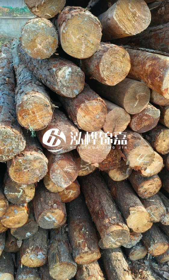 油松3米12公分多少錢一根？油松4米12公分多少錢一根？