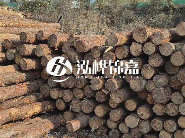 落葉松木材的主要產(chǎn)地在哪里？為什么比其他松木更耐腐蝕？