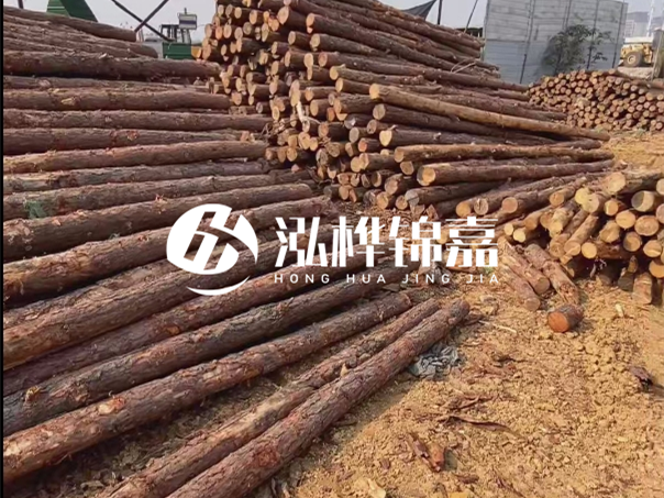 河道木樁施工遇到淤泥怎么辦？打多深才能防沖刷？