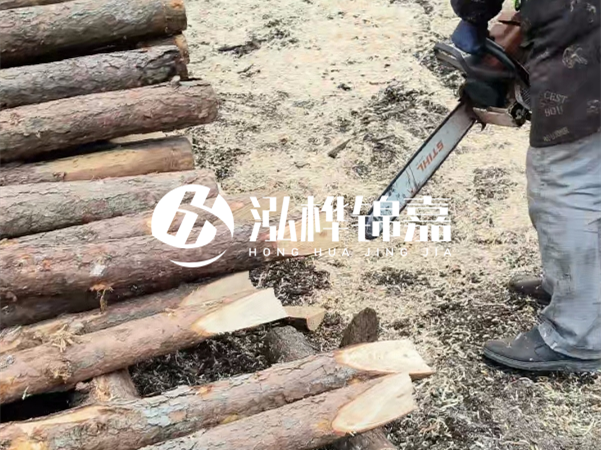 杉木樁批發(fā)廠家哪家好？產(chǎn)地直供渠道推薦！