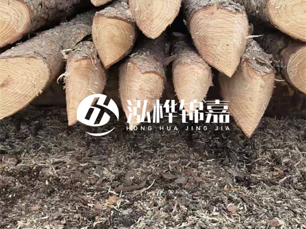 打樁木樁與鋼樁相比有哪些優(yōu)缺點(diǎn)？如何進(jìn)行后期維護(hù)？