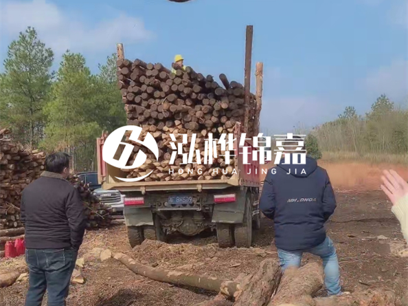 松木樁價(jià)格是按米算還是按根算？6米松木樁批發(fā)價(jià)每根多少錢(qián)？