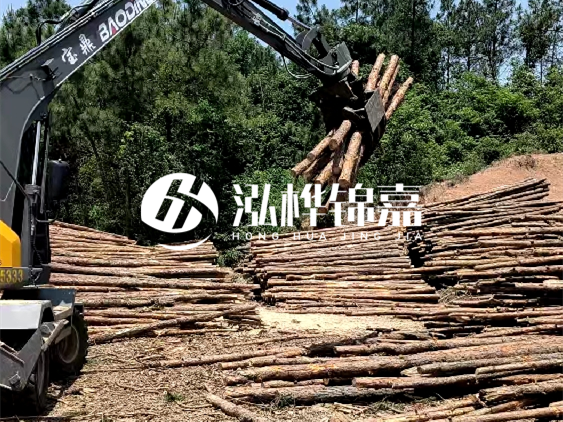 3米松木樁小頭10公分多少錢(qián)一根？大頭10公分又是多少錢(qián)？