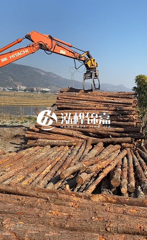 帶皮松木樁的防腐效果如何？和不帶皮松木樁價格差異有多大？