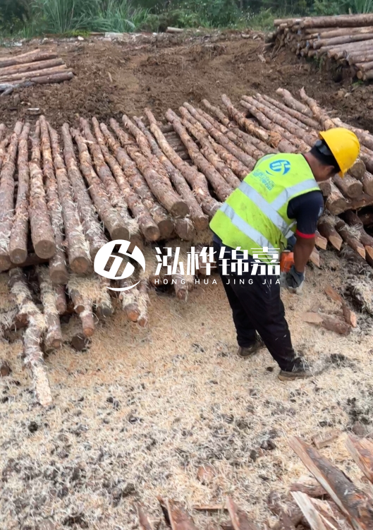 江蘇打樁木源頭廠家泓樺錦嘉-2.5米大頭10CM多少錢一根？