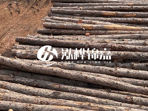 4.5 米松木樁多少錢一根？含稅價和不含稅價相差多少？