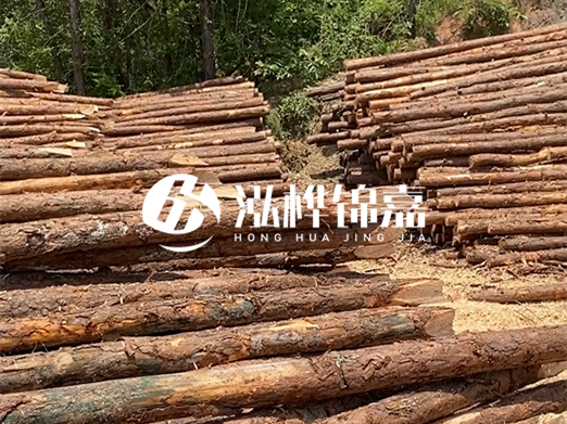 松木樁的運輸費用是否包含卸車費？卸貨時需要注意哪些安全問題？