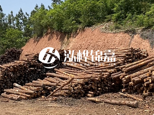 油松打樁木和落葉松打樁木的價格差異是多少？哪個性價比更高？