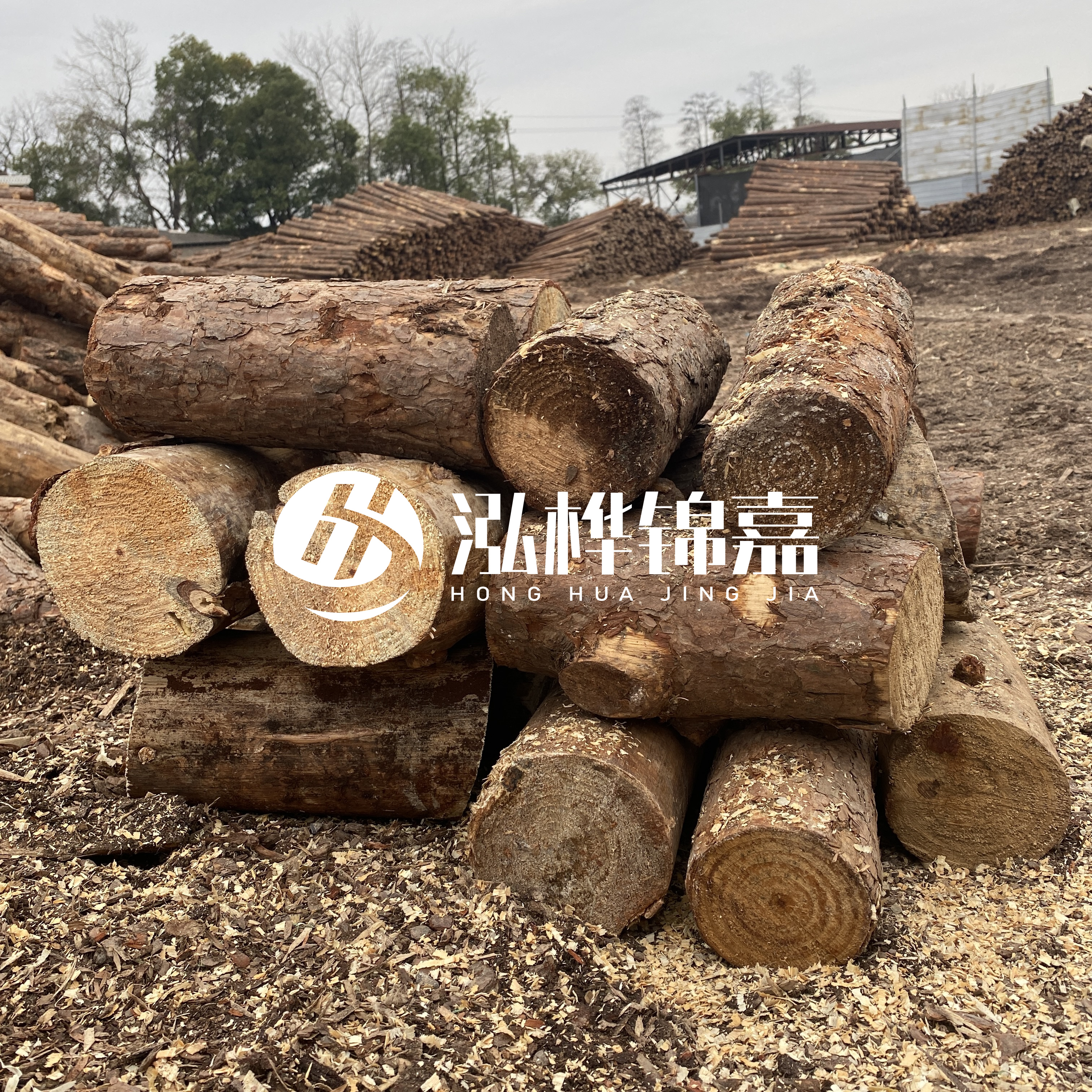 打樁木邊角料能做什么用途？怎么賣的？