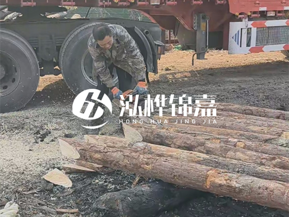 松木圓木價格大概多少一方-松木樁廠家按方可以賣嗎？