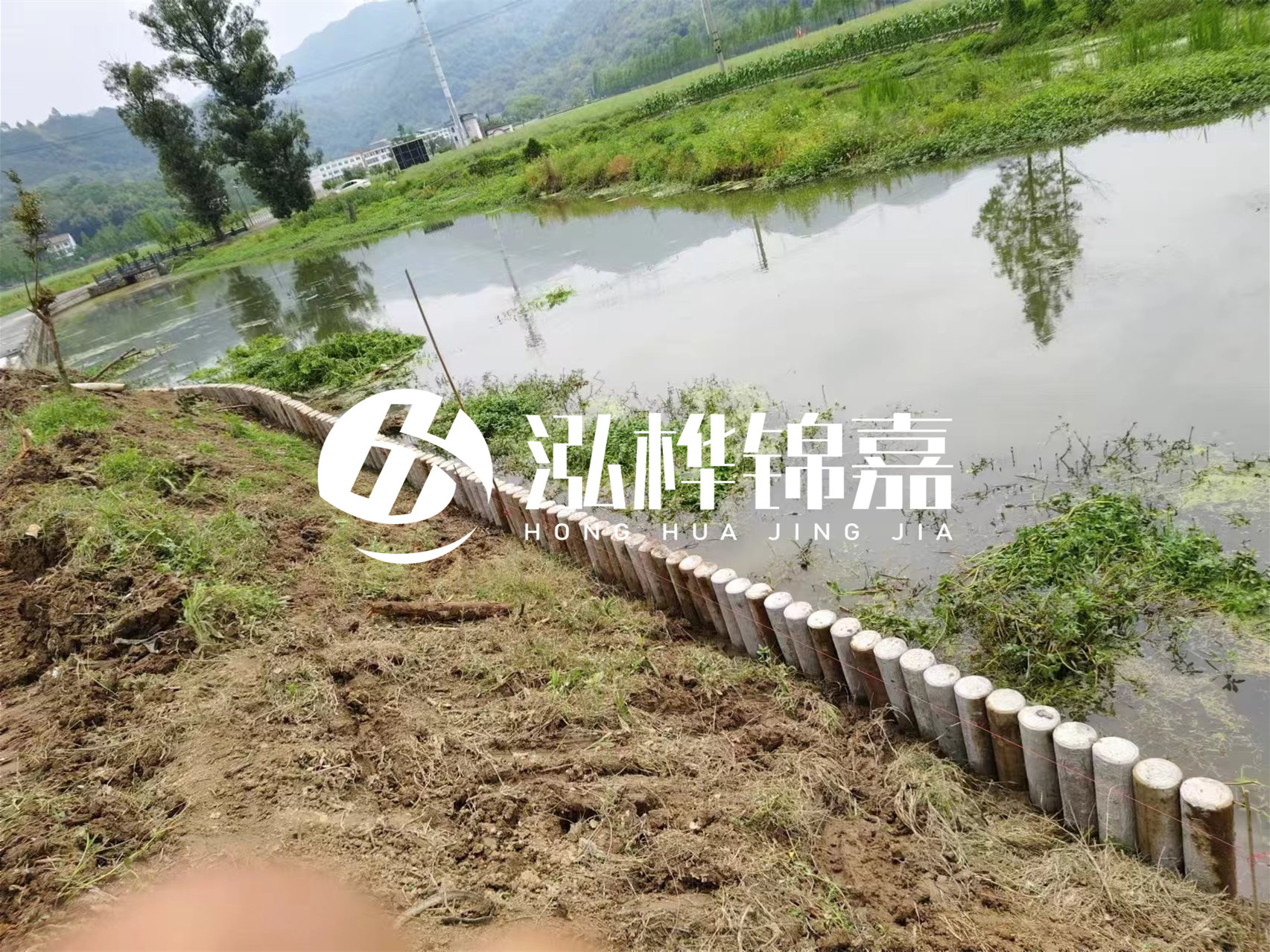 松木樁加固河道與水泥樁對(duì)比如何？哪一種更加適合您？