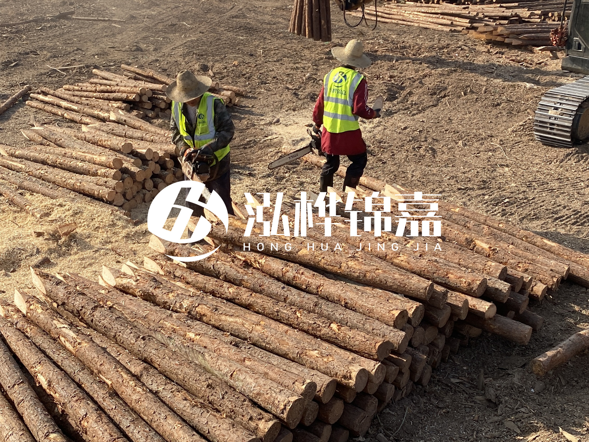 河道木樁報(bào)價(jià)在汛期前后會(huì)有波動(dòng)嗎？什么時(shí)候買最便宜？