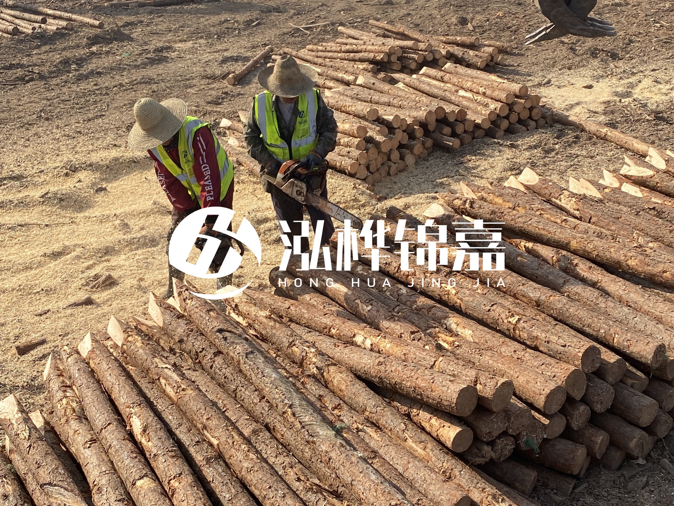 河北打樁木廠家主要生產(chǎn)哪些材質(zhì)的打樁木？產(chǎn)品有哪些規(guī)格？