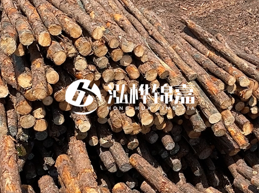 江西有哪些松木樁生產(chǎn)廠家？松木樁廠在什么位置？