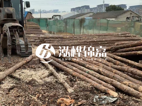 2 米長度松木樁多少錢？松木樁 10 一 15 公分價格？