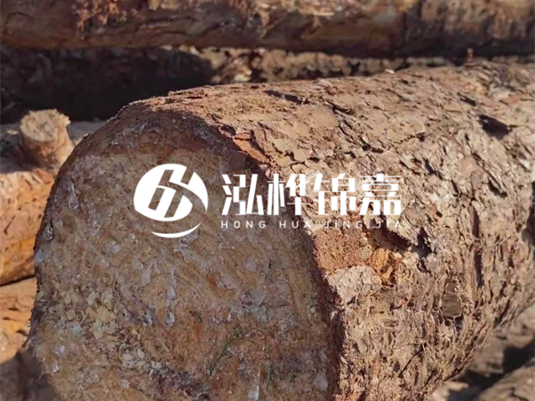 松木樁如何做到千年不腐的？松木樁打地基耐用年限揭秘