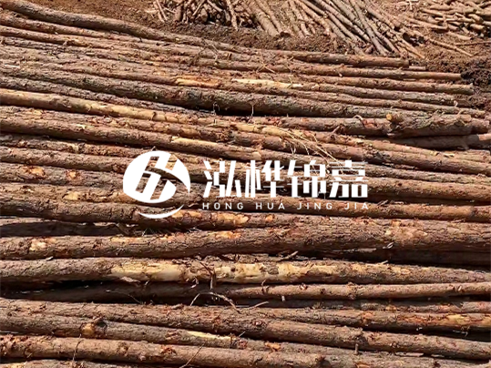 10公分的木材多少根為一方 - 4米10公分樹多少根為一方？