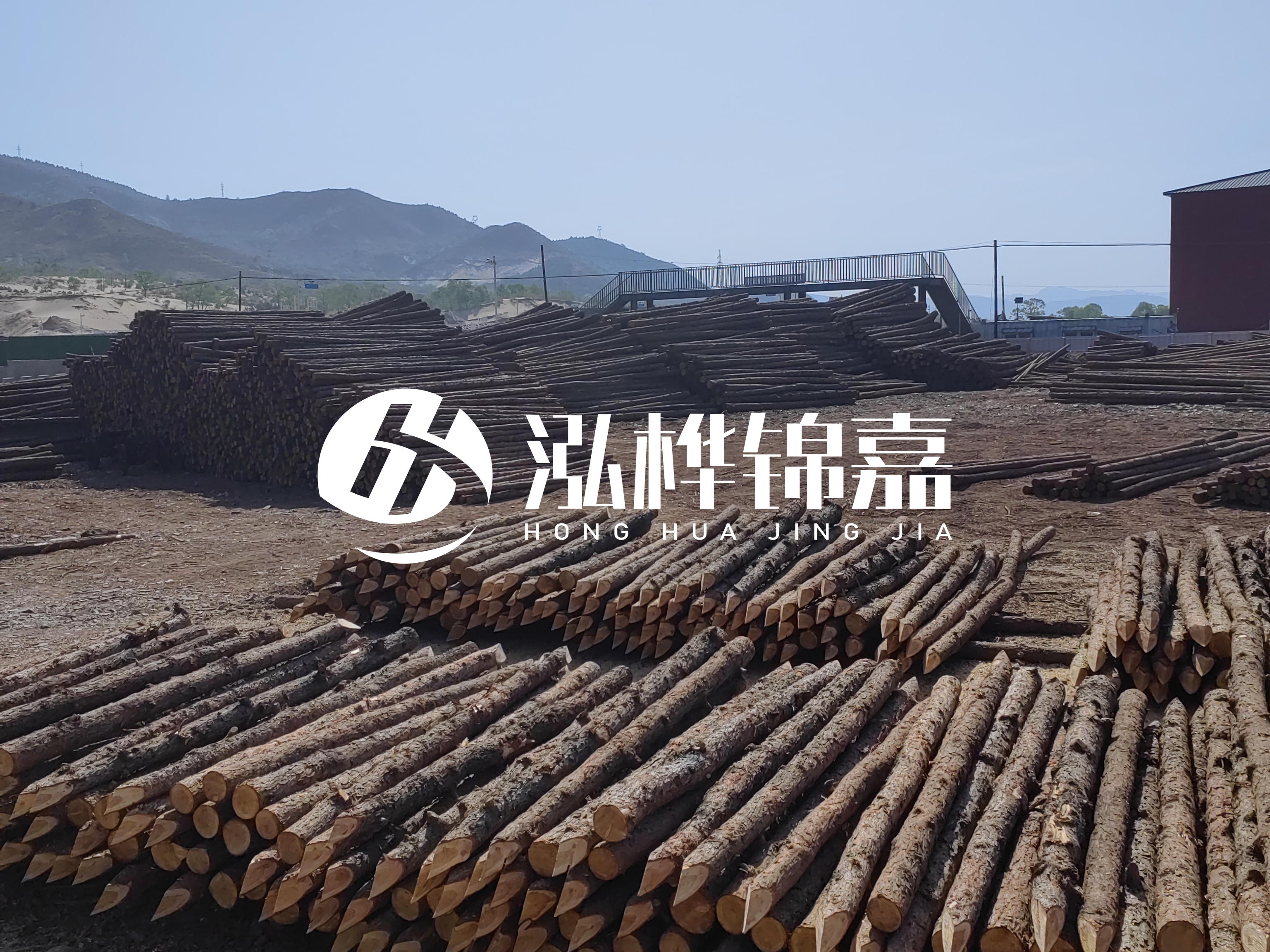 江蘇打樁木源頭廠家泓樺錦嘉-4米打樁木大頭14-16小頭一般多少？