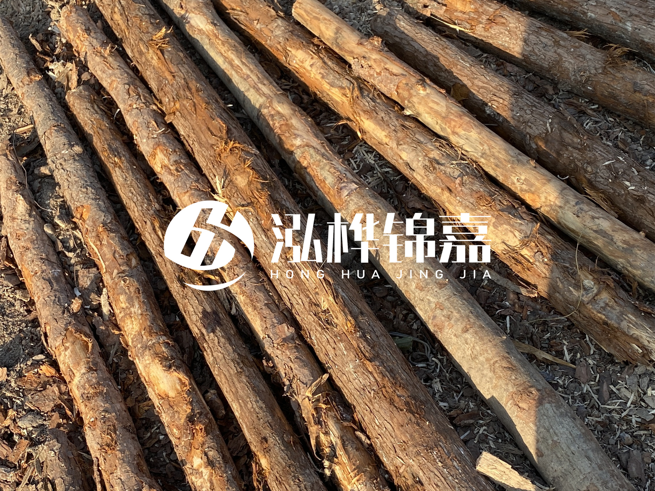 河道木樁多少錢一根？河道木樁的使用以及保養(yǎng)方法?