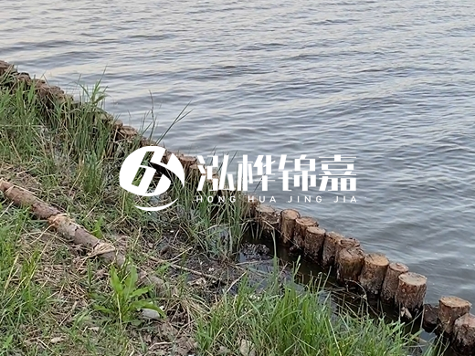 防洪松木樁施工重要性？河道打木樁的位置怎么確定？