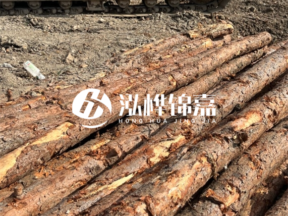 松木樁廠家泓樺錦嘉-原木松木樁的材質(zhì)是落葉松還是濕地松好？