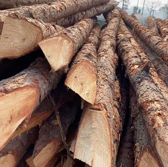 松木樁施工隊(duì)泓樺錦嘉 - 原木松木樁怎么辨別是否為實(shí)心？