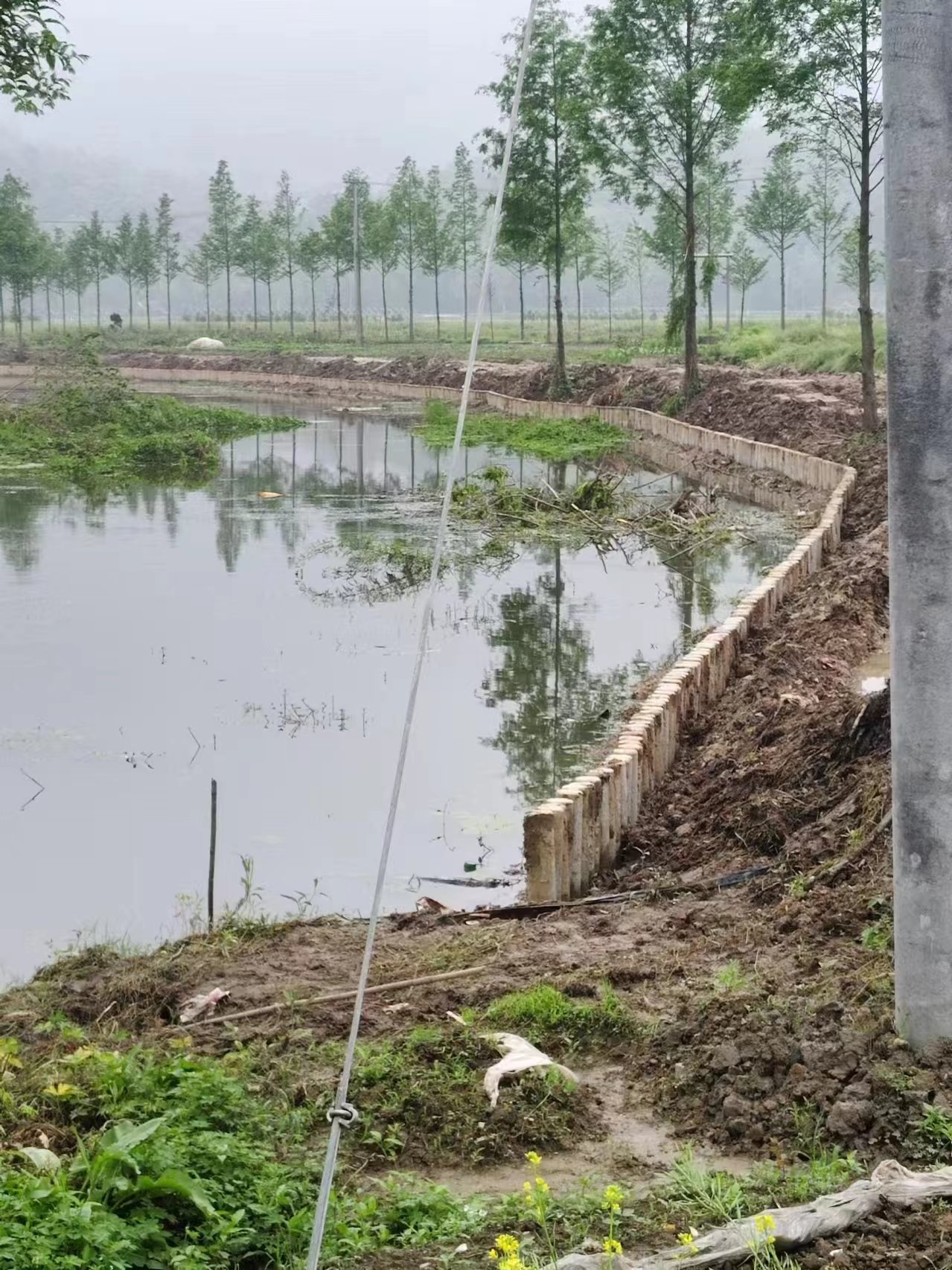 水泥仿木樁施工隊(duì)泓樺錦嘉 - 仿木樁施工多少錢(qián)一米？